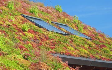 Bodewryd living roof systems
